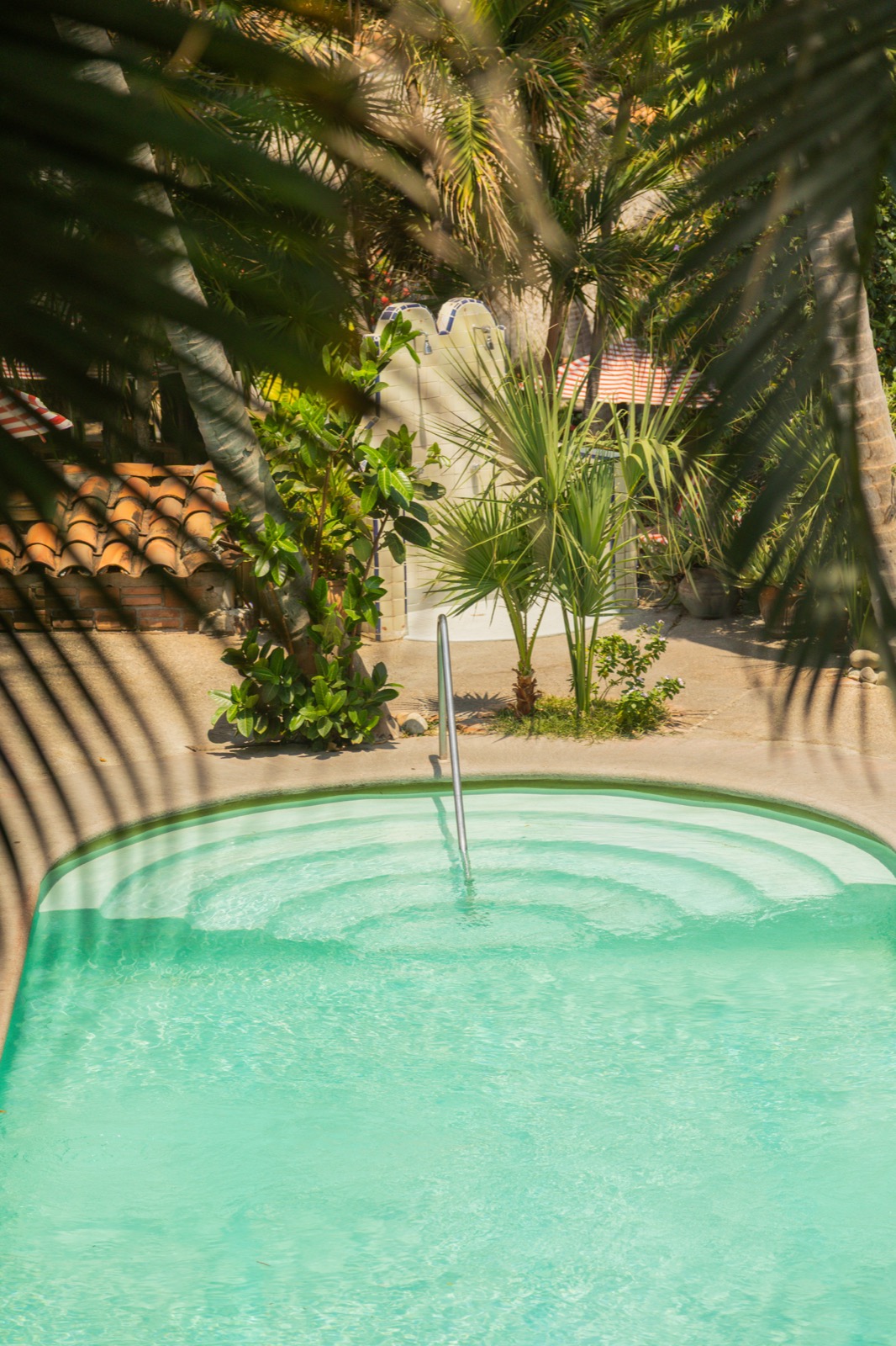 Alberca circular del hotel entre palmeras