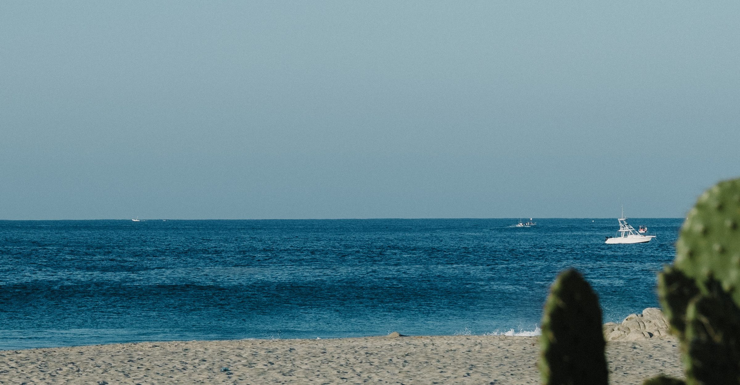 Mar de Zicatela con lanchas en el horizonte y nopales en primer plano